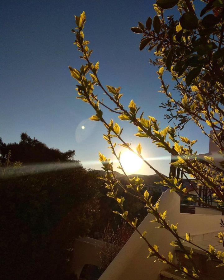 Sounio Golden View Villas ซูนิโอ ภายนอก รูปภาพ